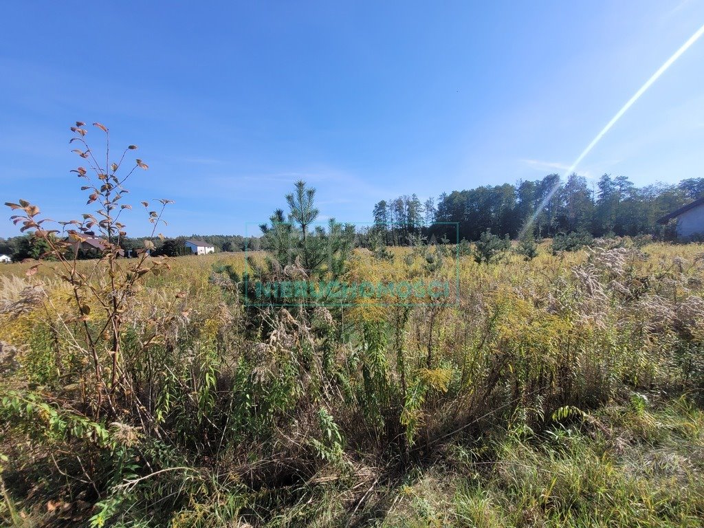 Działka budowlana na sprzedaż Książenice  1 500m2 Foto 2