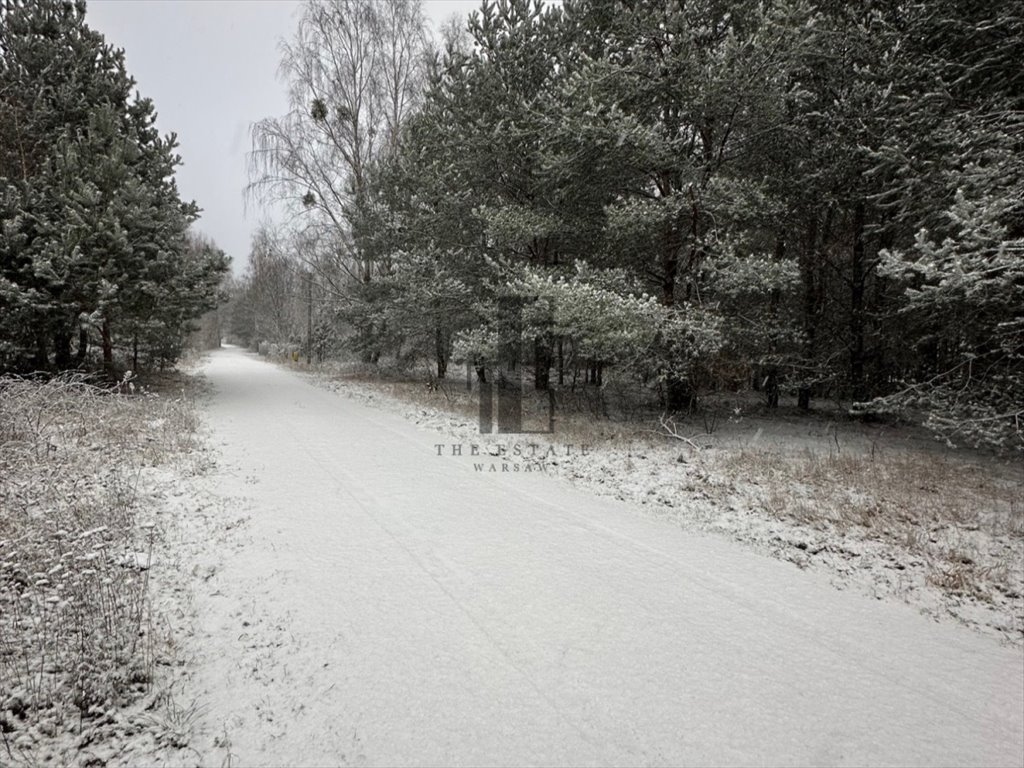 Działka budowlana na sprzedaż Rozalin  1 500m2 Foto 4