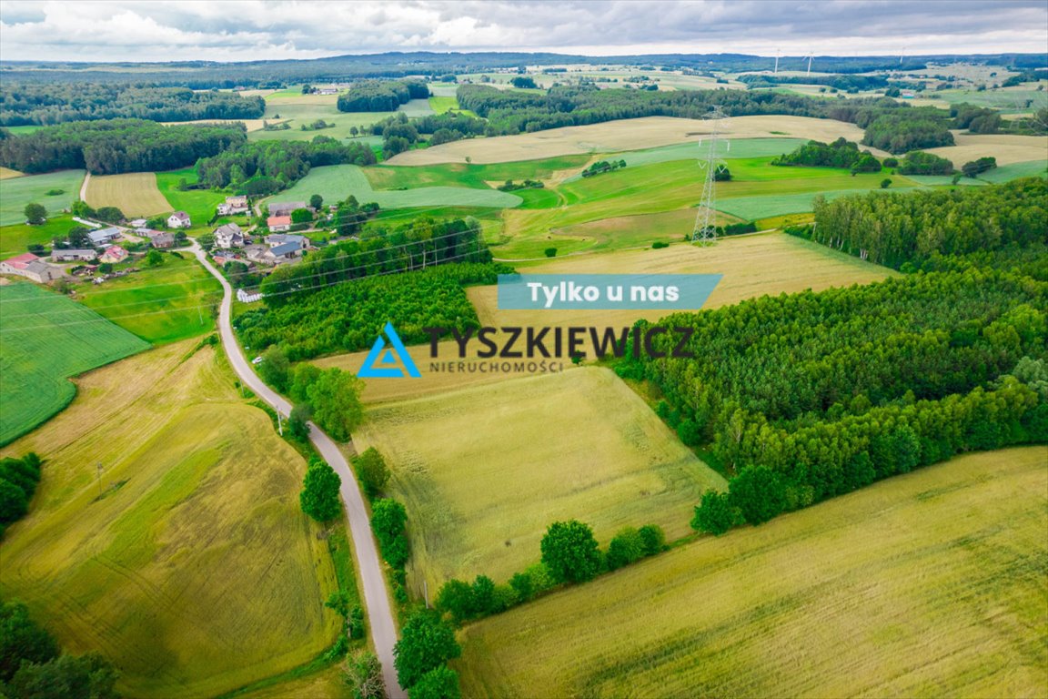 Działka budowlana na sprzedaż Dąbrówka  7 800m2 Foto 1