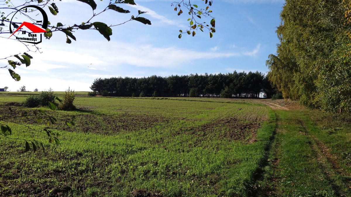 Działka gospodarstwo rolne na sprzedaż Topólka  2 000m2 Foto 1