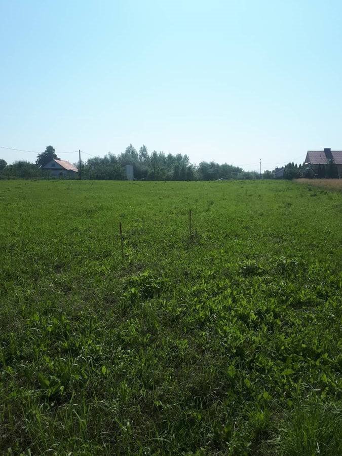 Działka budowlana na sprzedaż Tarnobrzeg, Nowa  8 400m2 Foto 4