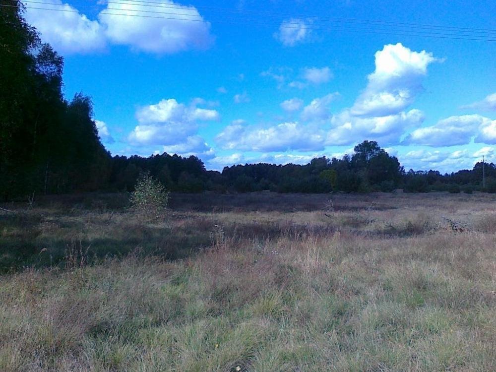 Zapraszam do zakupu działki 9 229 m² z dostępem do drogi w Nowej Wsi Wielkiej Nowa Wieś Wielka  9 229m2 Foto 1