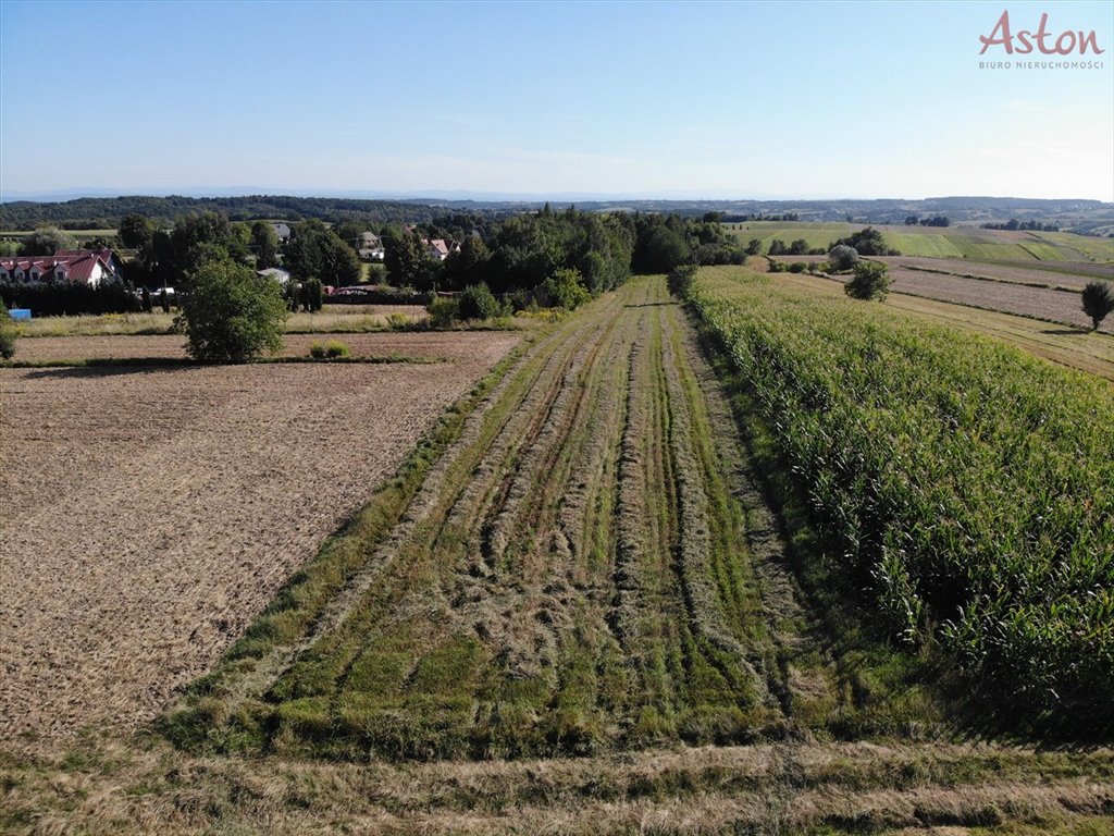 Działka budowlana na sprzedaż Maszków  9 800m2 Foto 4