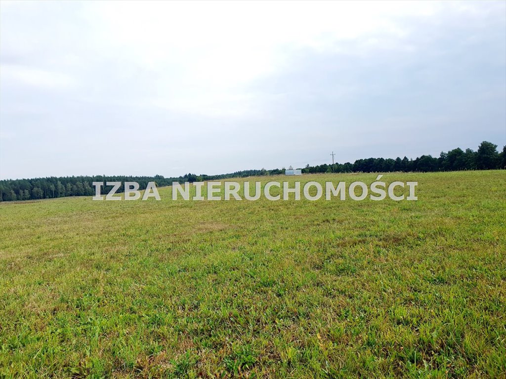 Działka rekreacyjna na sprzedaż Grabnik  3 400m2 Foto 11