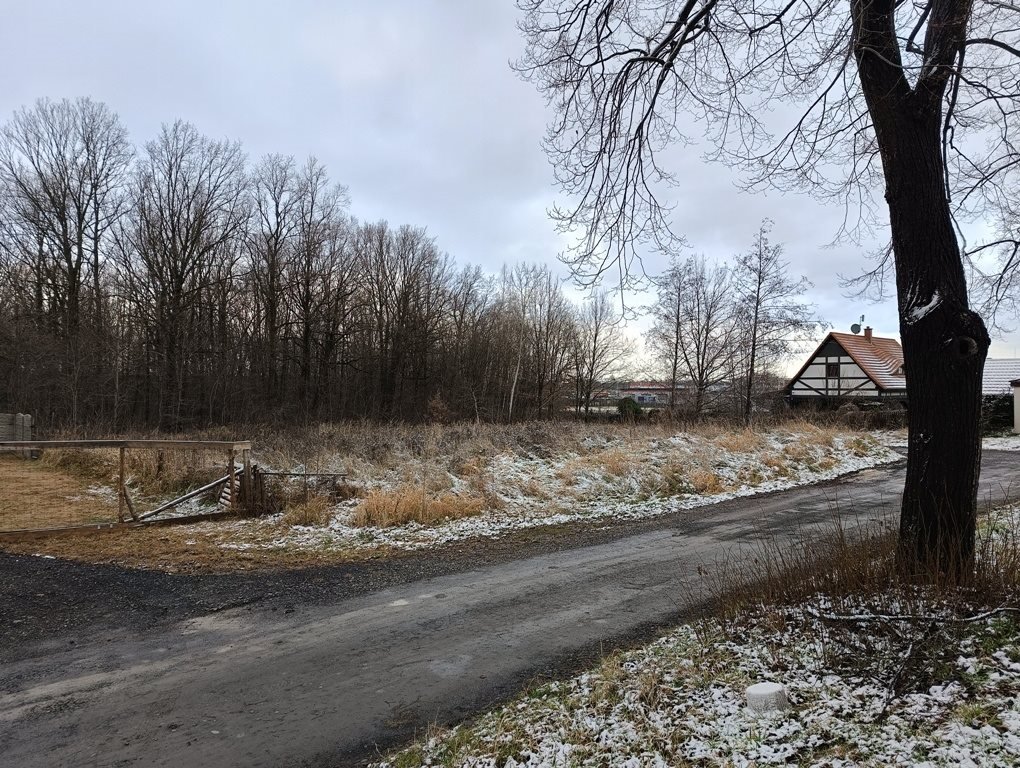 Działka budowlana na sprzedaż Zgorzelec  1 126m2 Foto 9