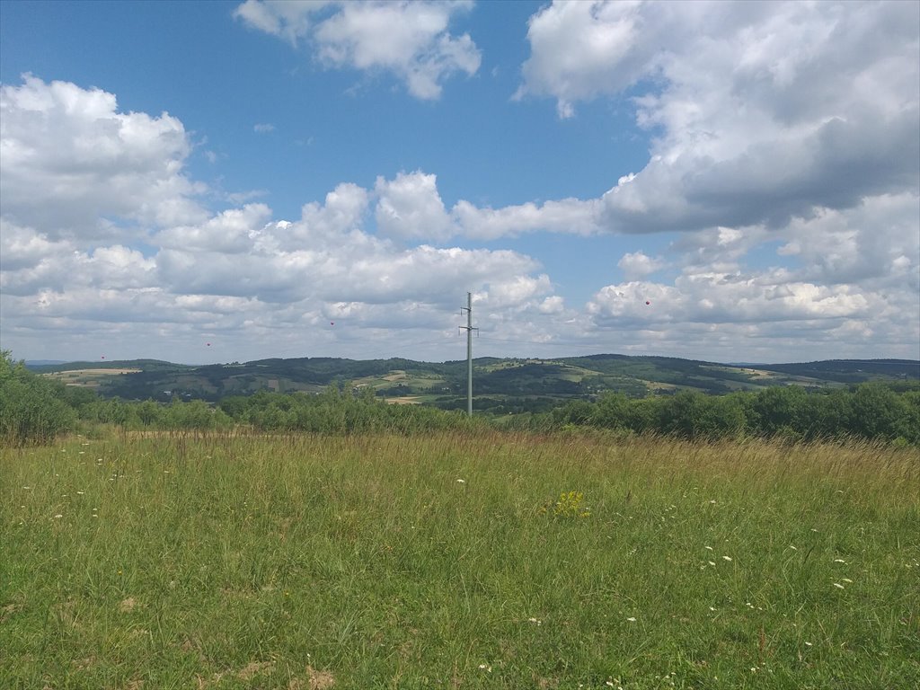 Działka rolna na sprzedaż Makowiska  9 700m2 Foto 10