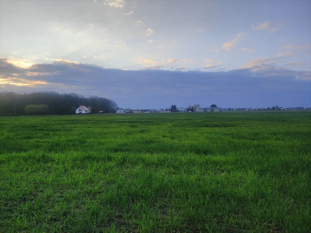 Działka budowlana na sprzedaż Ceradz Dolny  1 060m2 Foto 11