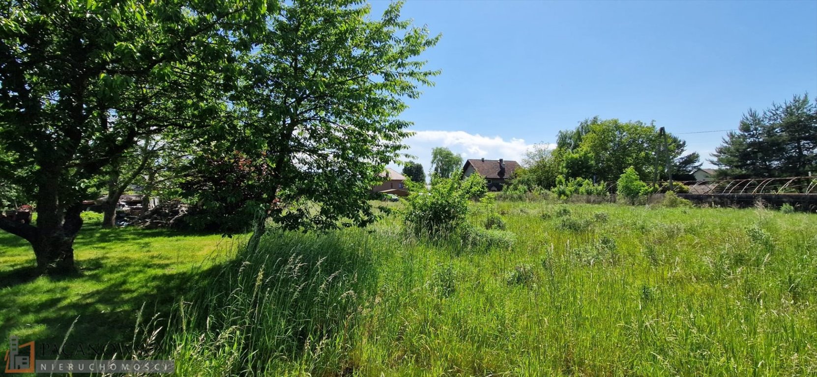 Działka 39,67 arów z mediami, cicha okolica, Pisary Pisary  3 967m2 Foto 1