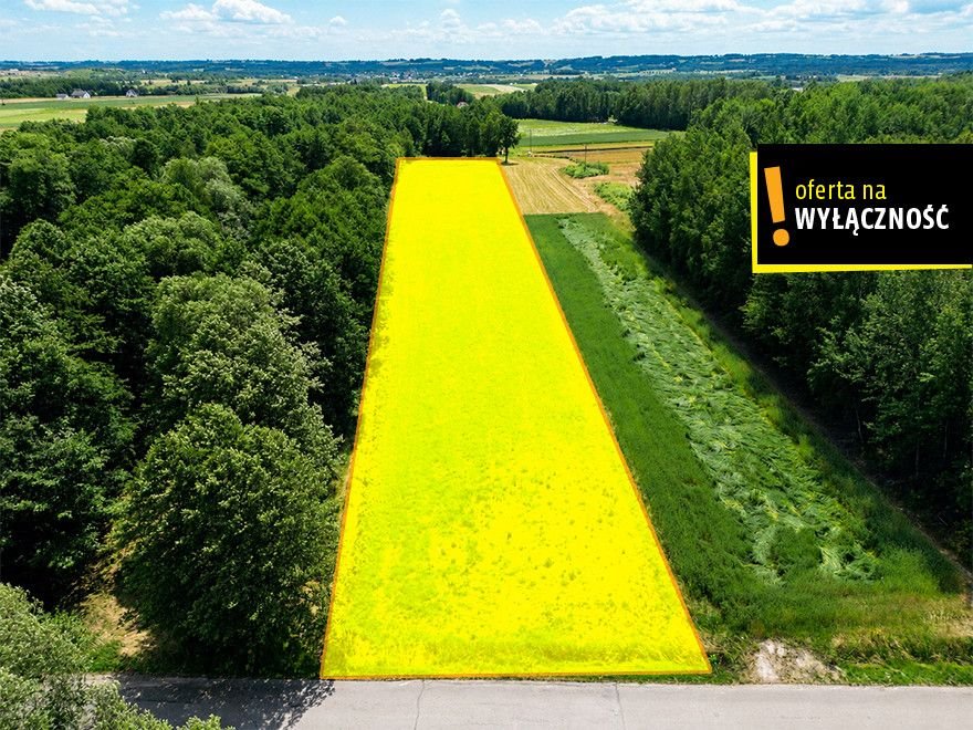 Działka 6 017 m² z domem i ogrodem w Łagowie Płucki  6 030m2 Foto 1