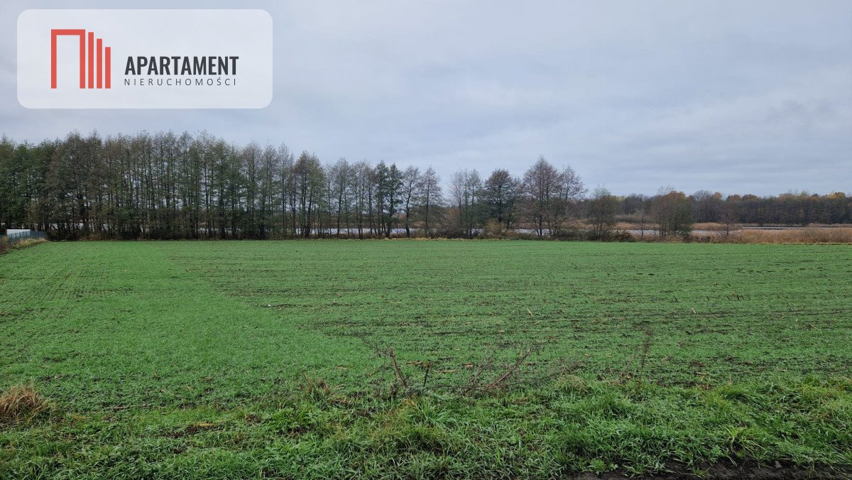 Działka budowlana na sprzedaż Jeżewo, Lipienki  4 000m2 Foto 3