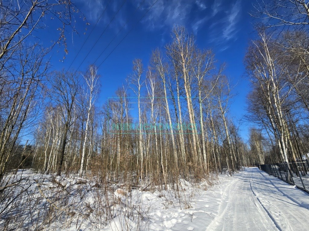Urokliwa działka 3128 m² z zielonym ogrodem i mediami Budy Michałowskie  3 128m2 Foto 1