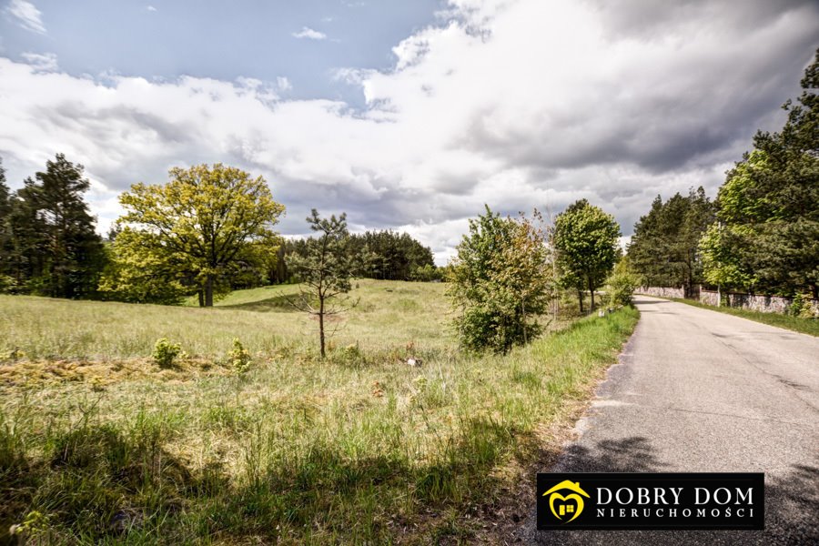 Działka rolna na sprzedaż Gawrych-Ruda  3 777m2 Foto 3