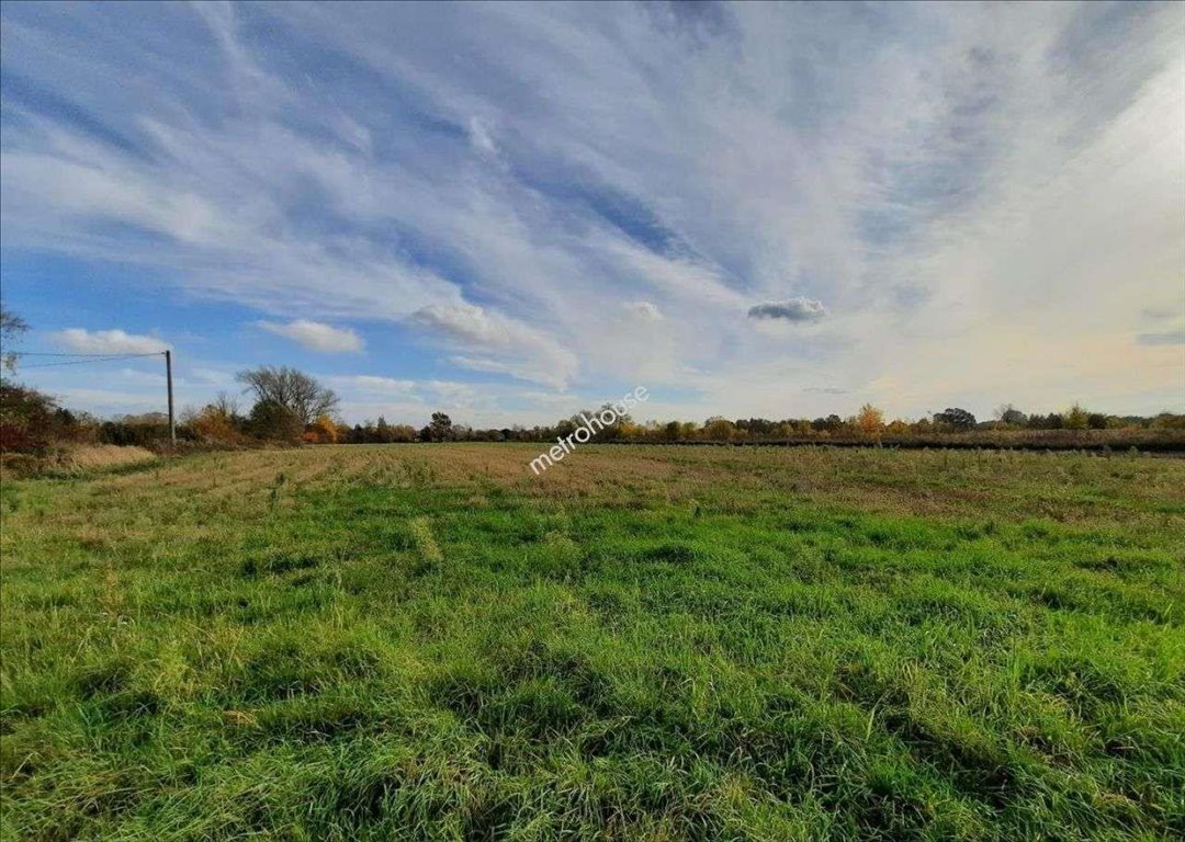 Działka inwestycyjna na sprzedaż Warszawa, Wilanów  8 000m2 Foto 1