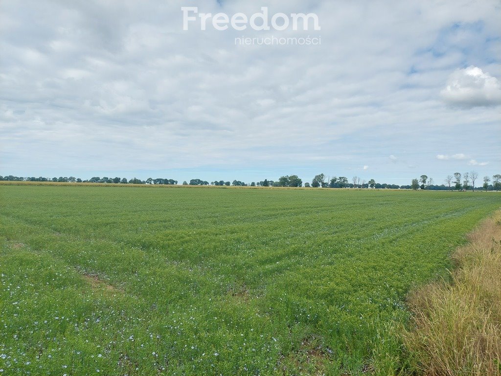 Działka rolna na sprzedaż Kamienica  9 400m2 Foto 4