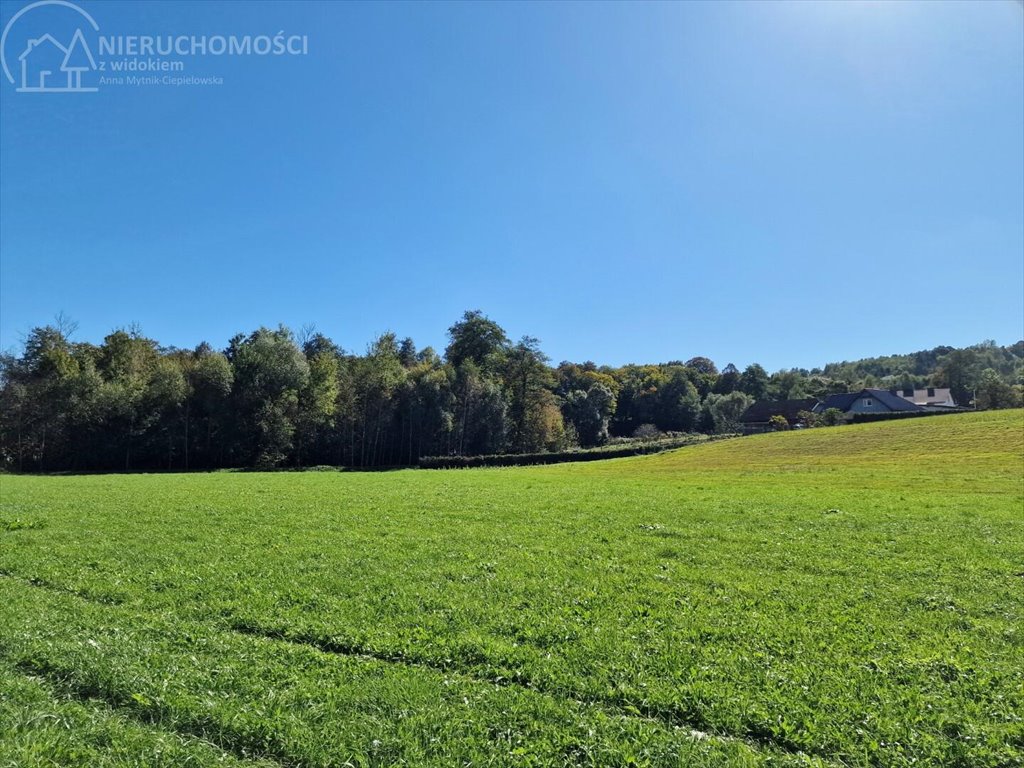 Działka rolna na sprzedaż Strzeszyn  3 900m2 Foto 7