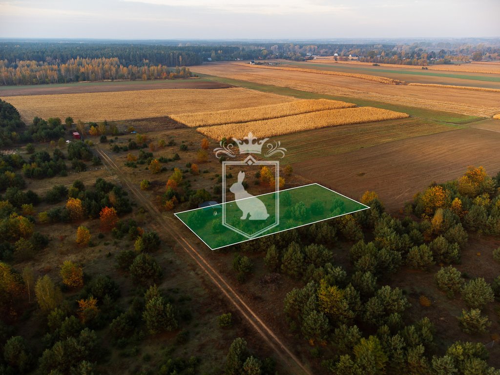 Działka budowlana na sprzedaż Gnojno  1 500m2 Foto 1