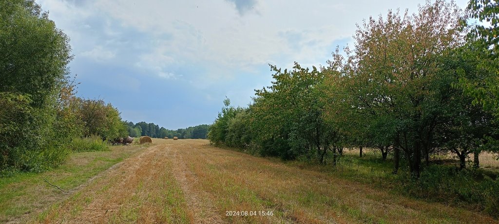 Działka budowlana na sprzedaż Aleksandria  29 002m2 Foto 3