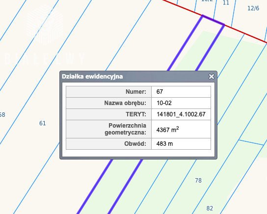 Działka budowlana na sprzedaż Góra Kalwaria, Marianki, Polna  8 056m2 Foto 5