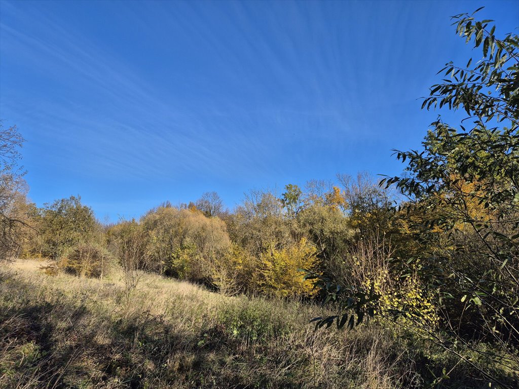 Działka rolna na sprzedaż Jasionka  7 000m2 Foto 2