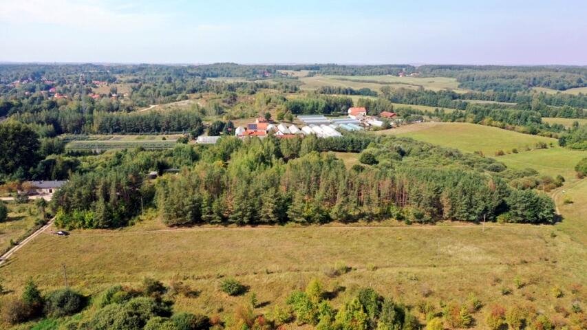 Działka budowlana na sprzedaż Ogonki  8 100m2 Foto 3