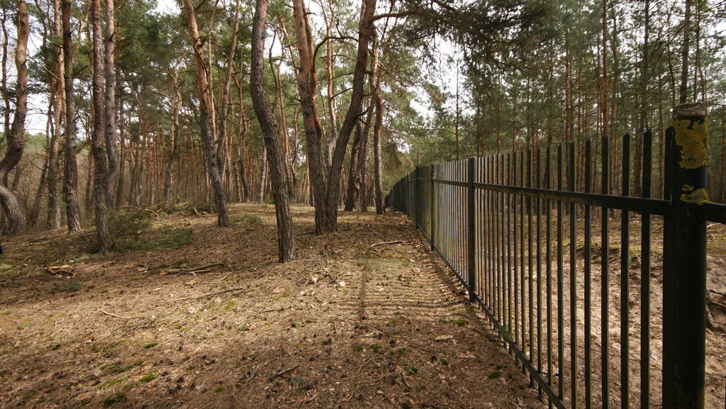 Agroturystyka z stawami i lasem – gotowy biznes do rozbudowy Lublin, Zemborzyce  68 100m2 Foto 1