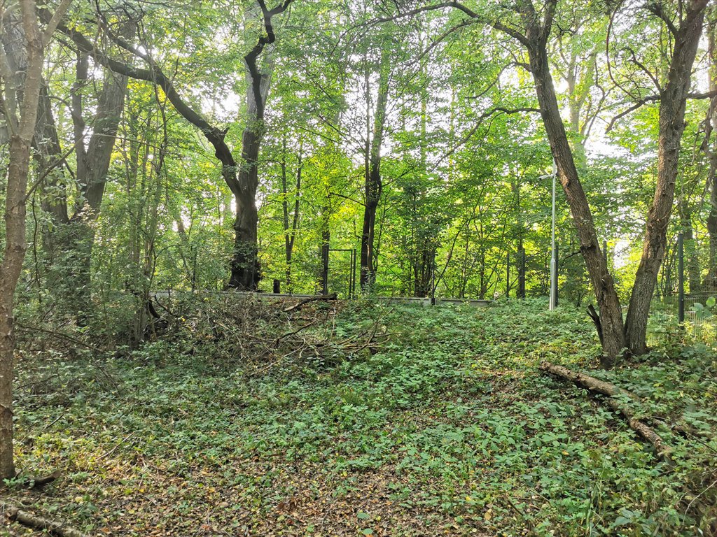 Działka budowlana na sprzedaż Wiązowna, Emów, Wiązowska 40C  2 336m2 Foto 7