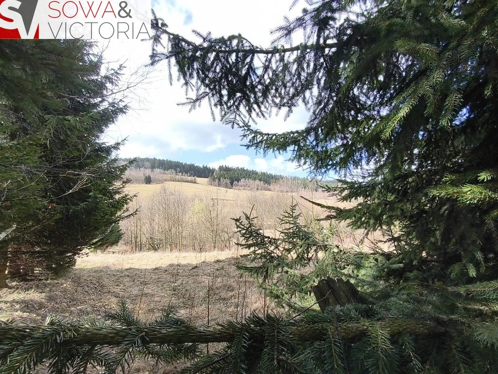 Działka w Walimie z widokiem, strumyk i las Walim  2 302m2 Foto 1