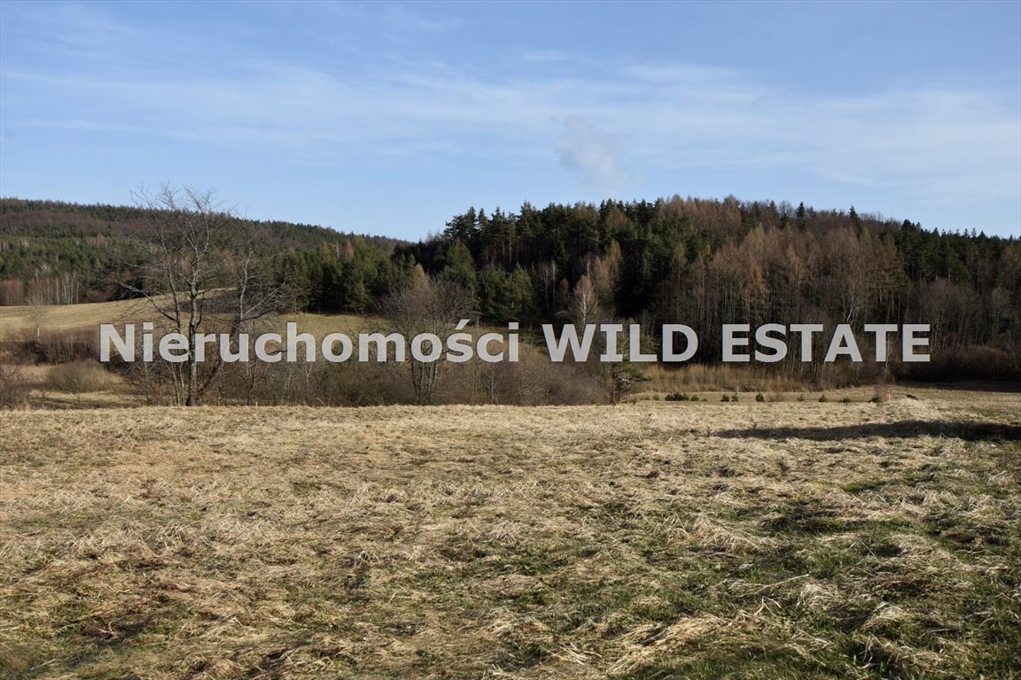 Działka budowlana 15 ar z warunkami zabudowy, nasłoneczniona Solina, Bereżnica Wyżna  1 501m2 Foto 1