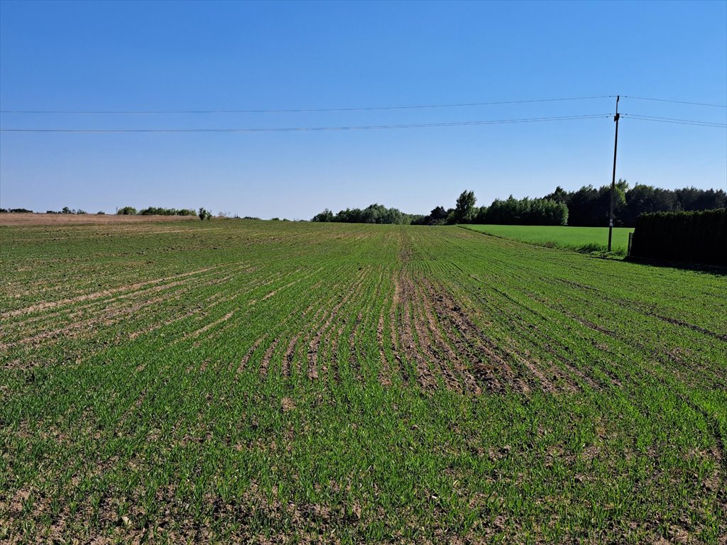 Dom na sprzedaż Płasków  250m2 Foto 8