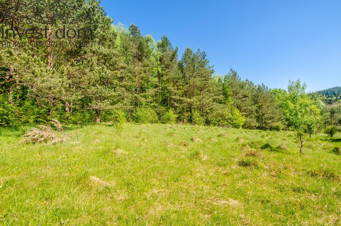 Działka budowlana na sprzedaż Wysowa-Zdrój  1 074m2 Foto 1