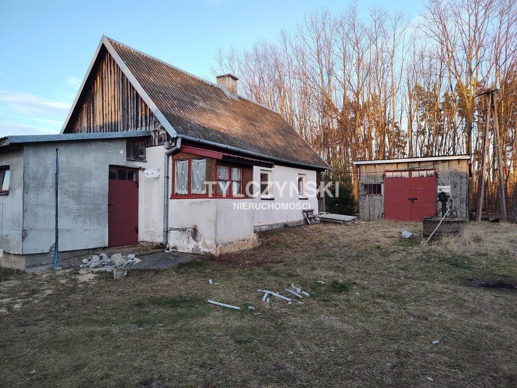 Działka rolna na sprzedaż Kaleń  40 000m2 Foto 7