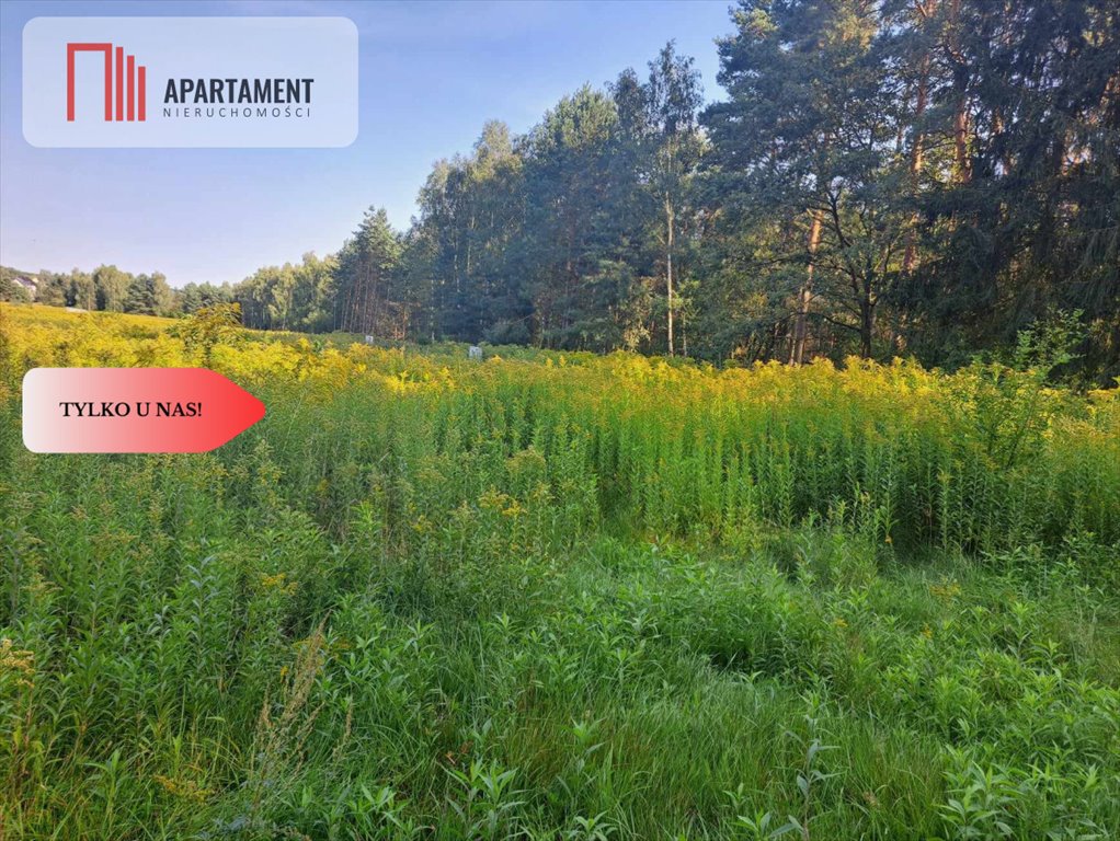 Działka budowlana na sprzedaż Miękinia, Klęka, Leśna  1 000m2 Foto 6