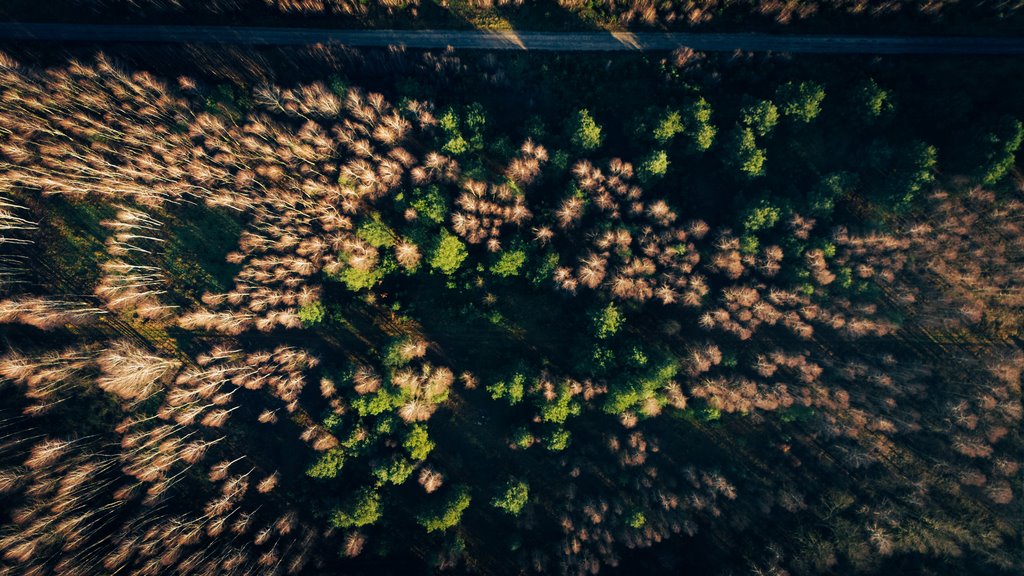 Działka budowlana na sprzedaż Konarzew  1 391m2 Foto 4