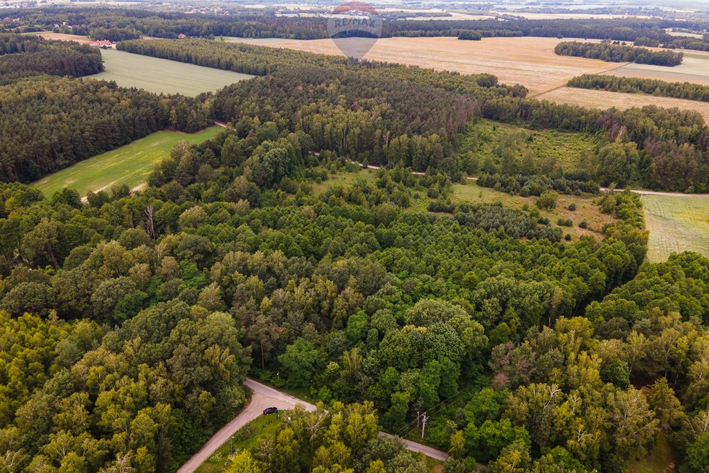 Działka siedliskowa na sprzedaż Boginia  53 419m2 Foto 7