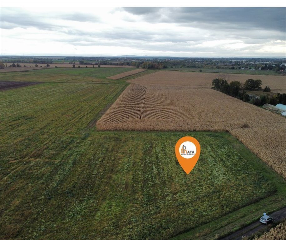 Działka budowlana na sprzedaż Ścinawa Polska  4 300m2 Foto 1