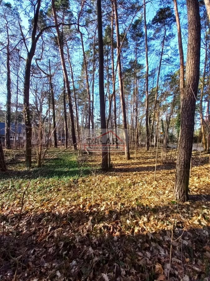 Działka budowlana na sprzedaż Zalesie Górne  2 019m2 Foto 5