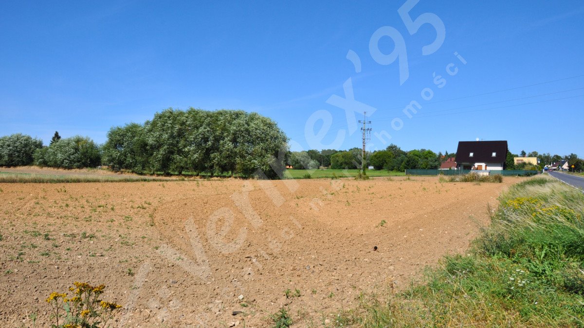 Działka budowlana na sprzedaż Ceradz Kościelny  1 298m2 Foto 6