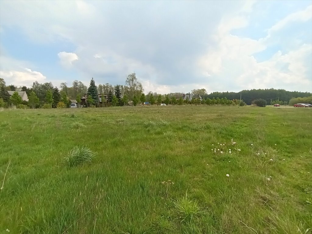 Działka budowlana na sprzedaż Pisarzowice  1 200m2 Foto 6