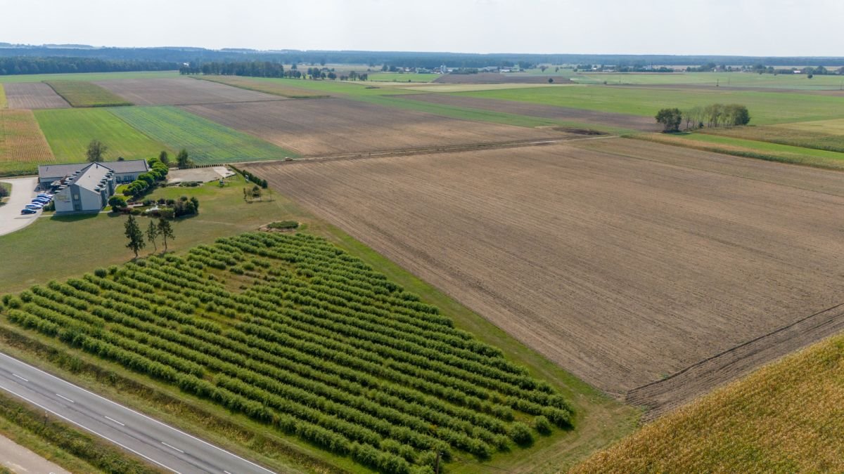 Działka przemysłowo-handlowa na sprzedaż Ciasna, Nowy Dwór  5 093m2 Foto 12