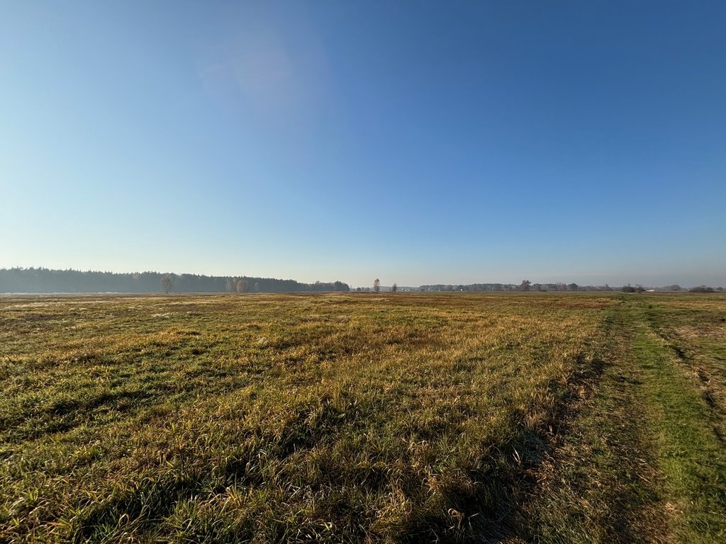 Działka rolna na sprzedaż Nowe Załubice  27 100m2 Foto 4