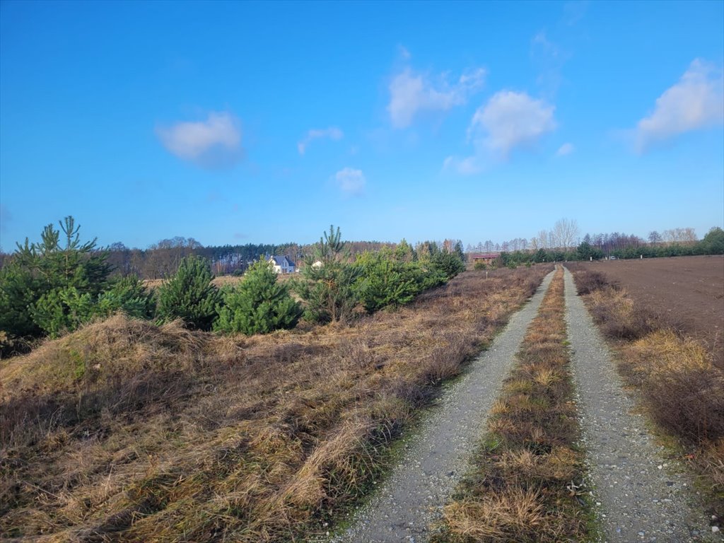 Działka budowlana 950 m² w Gołąbkach, dostęp do sieci Gołąbki  950m2 Foto 1