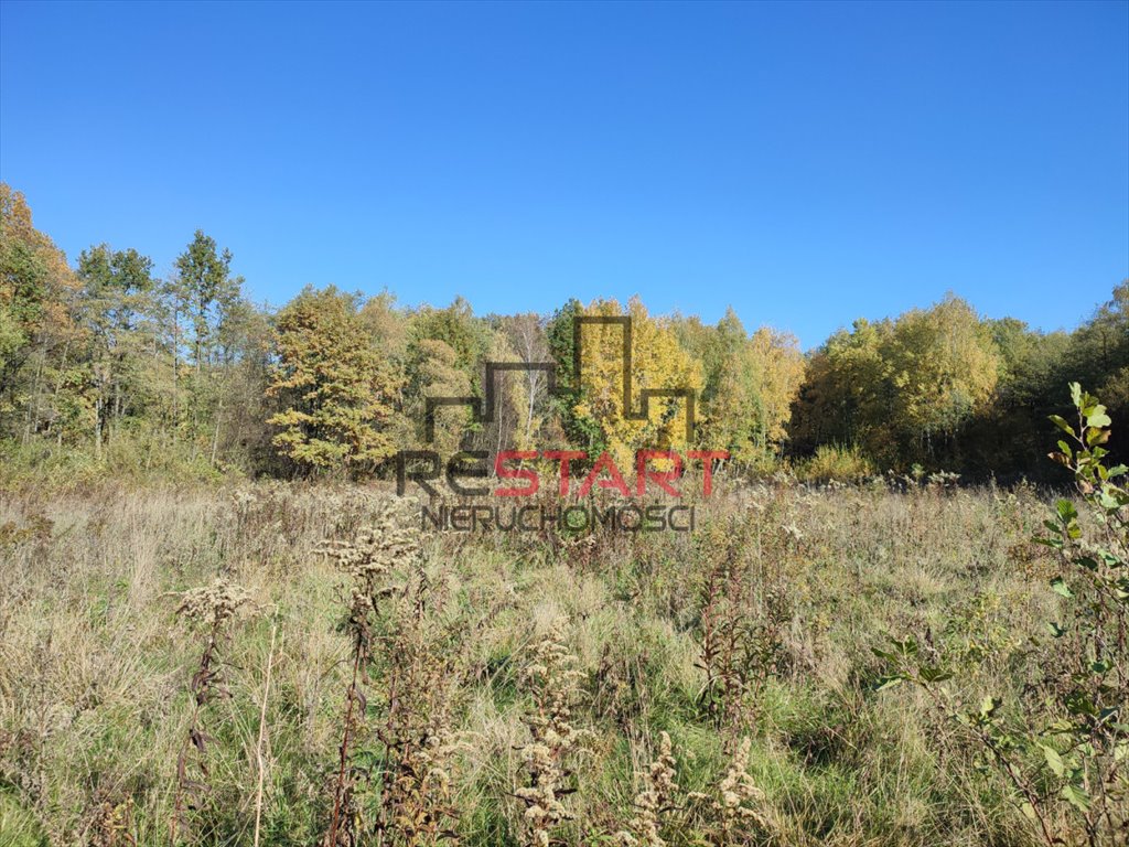 Działka rolna na sprzedaż Adamów-Parcel  20 800m2 Foto 2