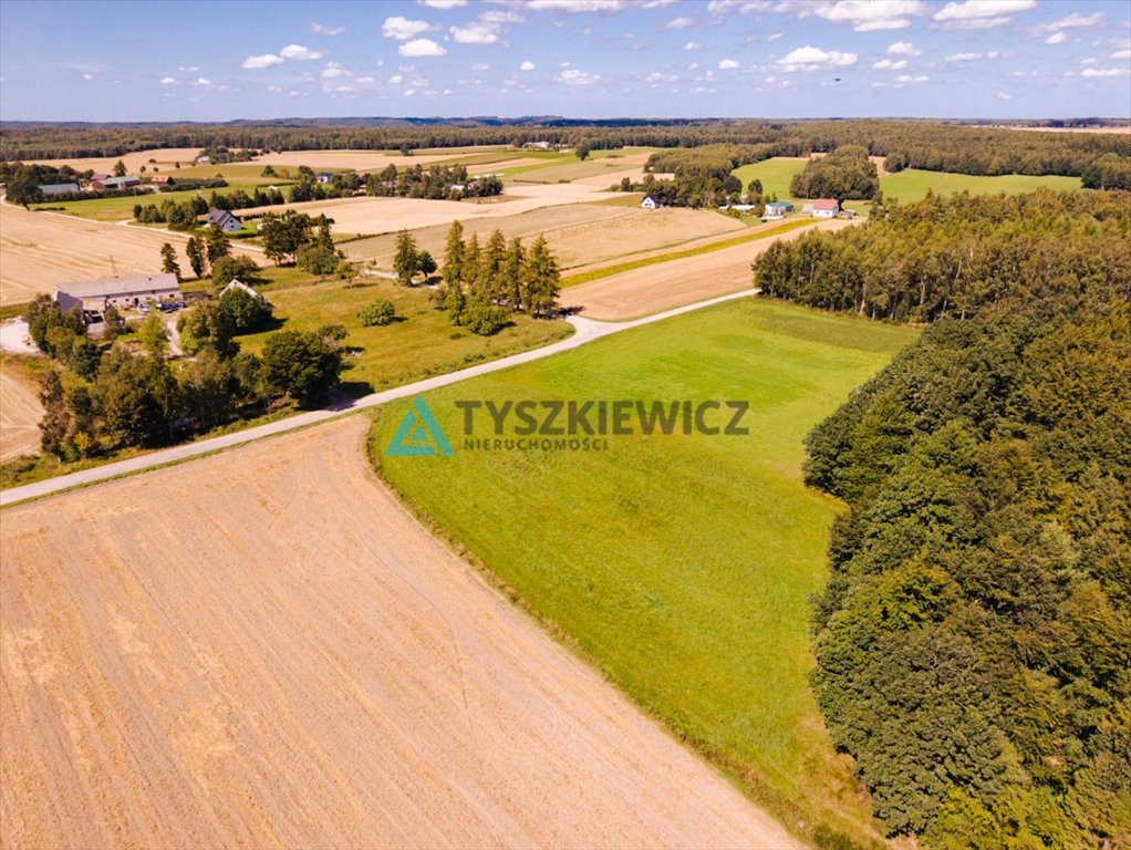 Zdjęcie 6