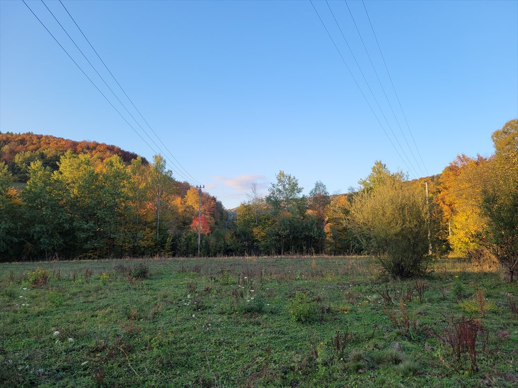 Do sprzedania działka przemysłowo-usługowa 2500 m² w Ropica Górna Sękowa, Ropica Górna  2 500m2 Foto 1