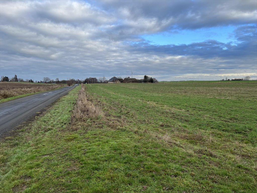 Działka budowlana na sprzedaż Stojkowo, Stojkowo  3 022m2 Foto 15