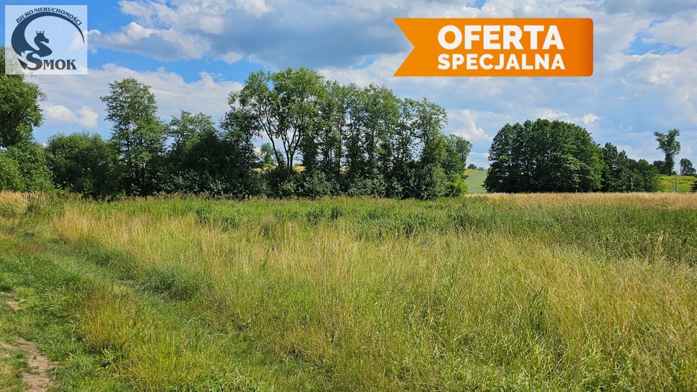 Działka 27a z widokiem, media w ulicy - polecam! Czułówek  2 700m2 Foto 1