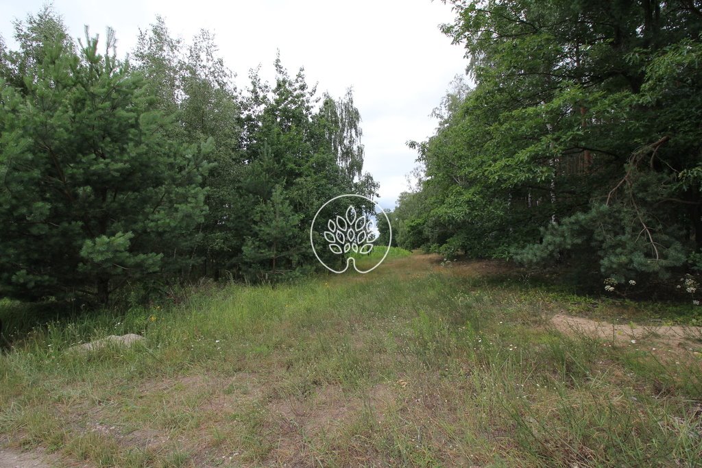 Działka budowlana na sprzedaż Zławieś Wielka  1 288m2 Foto 6