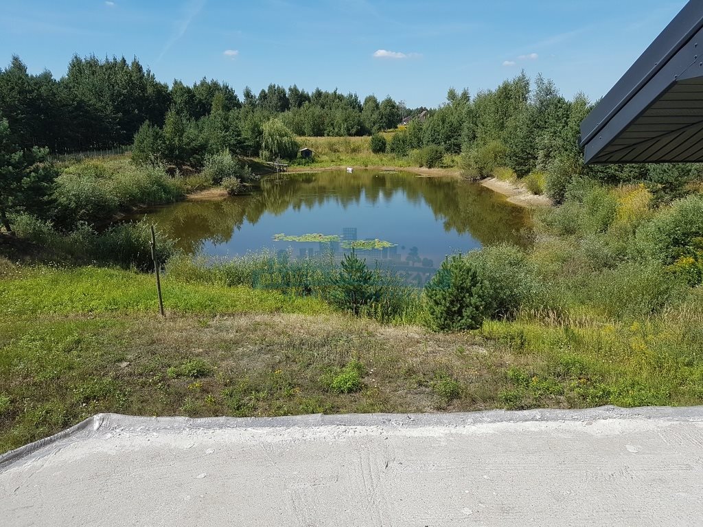 Działka budowlana na sprzedaż Sierzchów  10 000m2 Foto 8