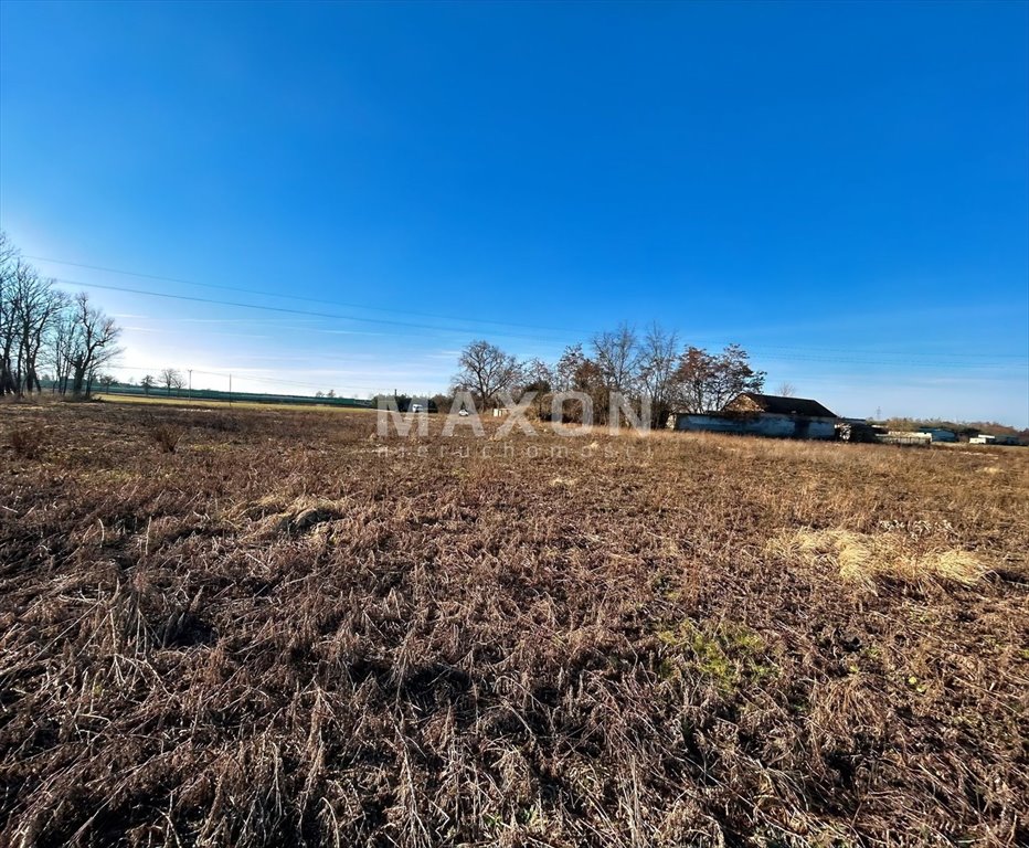 Działka budowlana na sprzedaż Siedlin  25 256m2 Foto 13