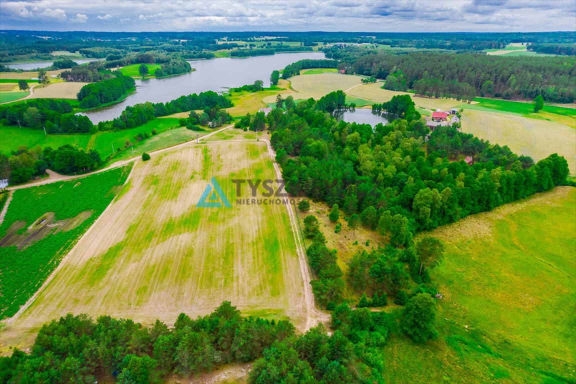 Działka rolna na sprzedaż Płocice  3 875m2 Foto 11